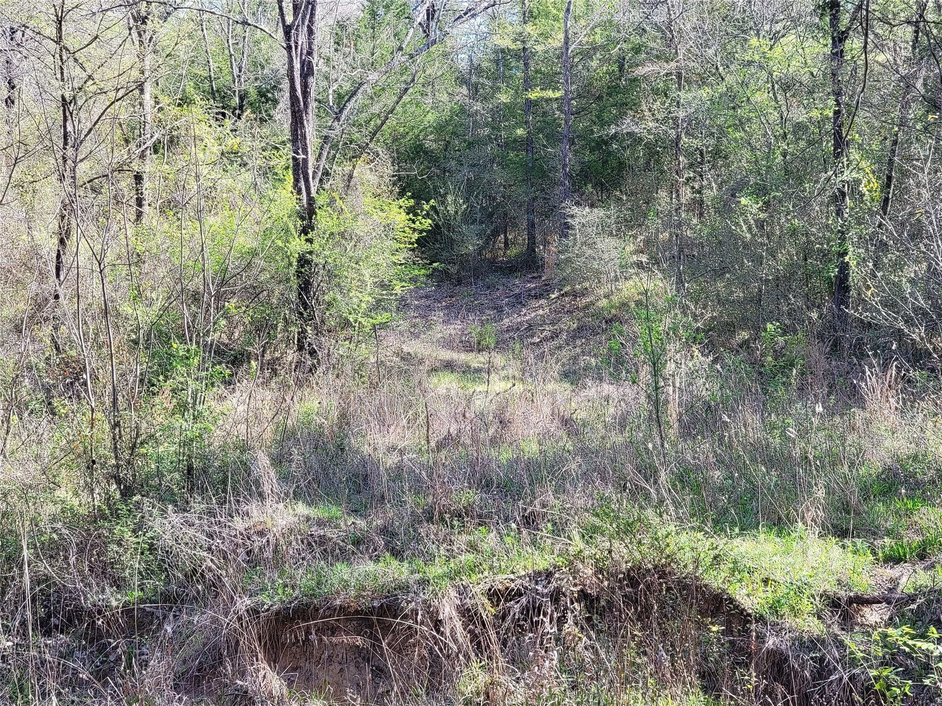 83.46 acres in Freestone County featured view
