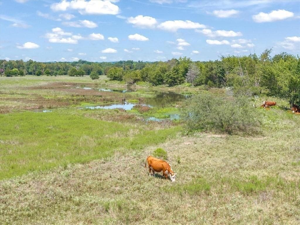 24.54 acres in Van Zandt County gallery image 3