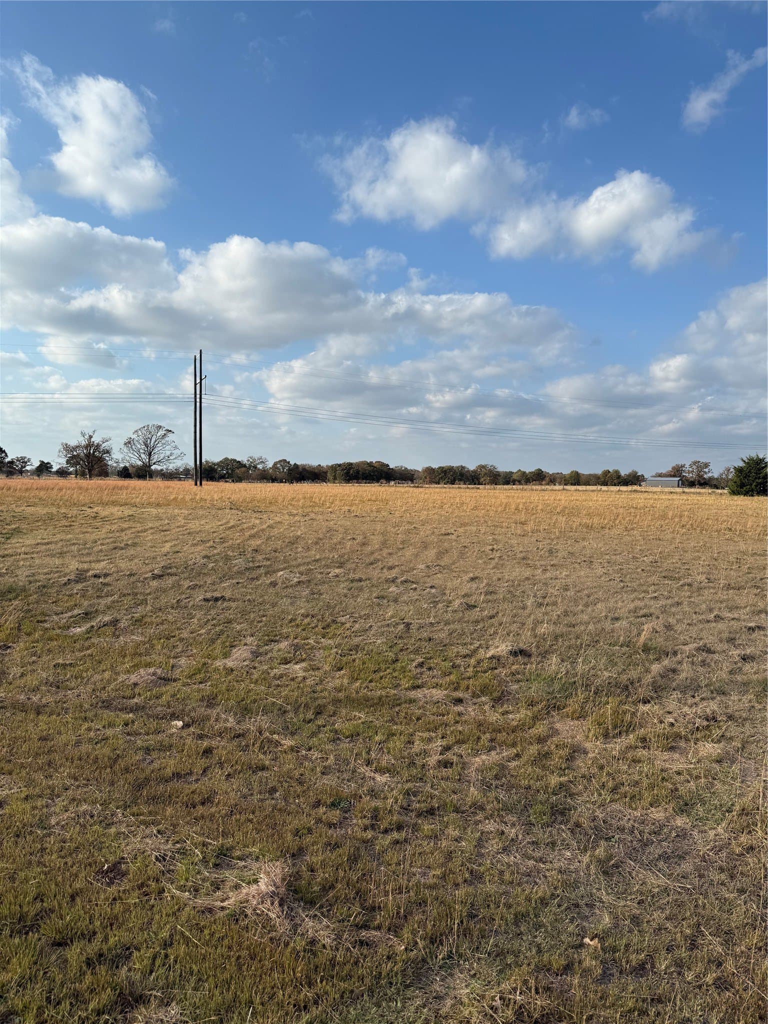 4.18 acres in Rains County - photo 15