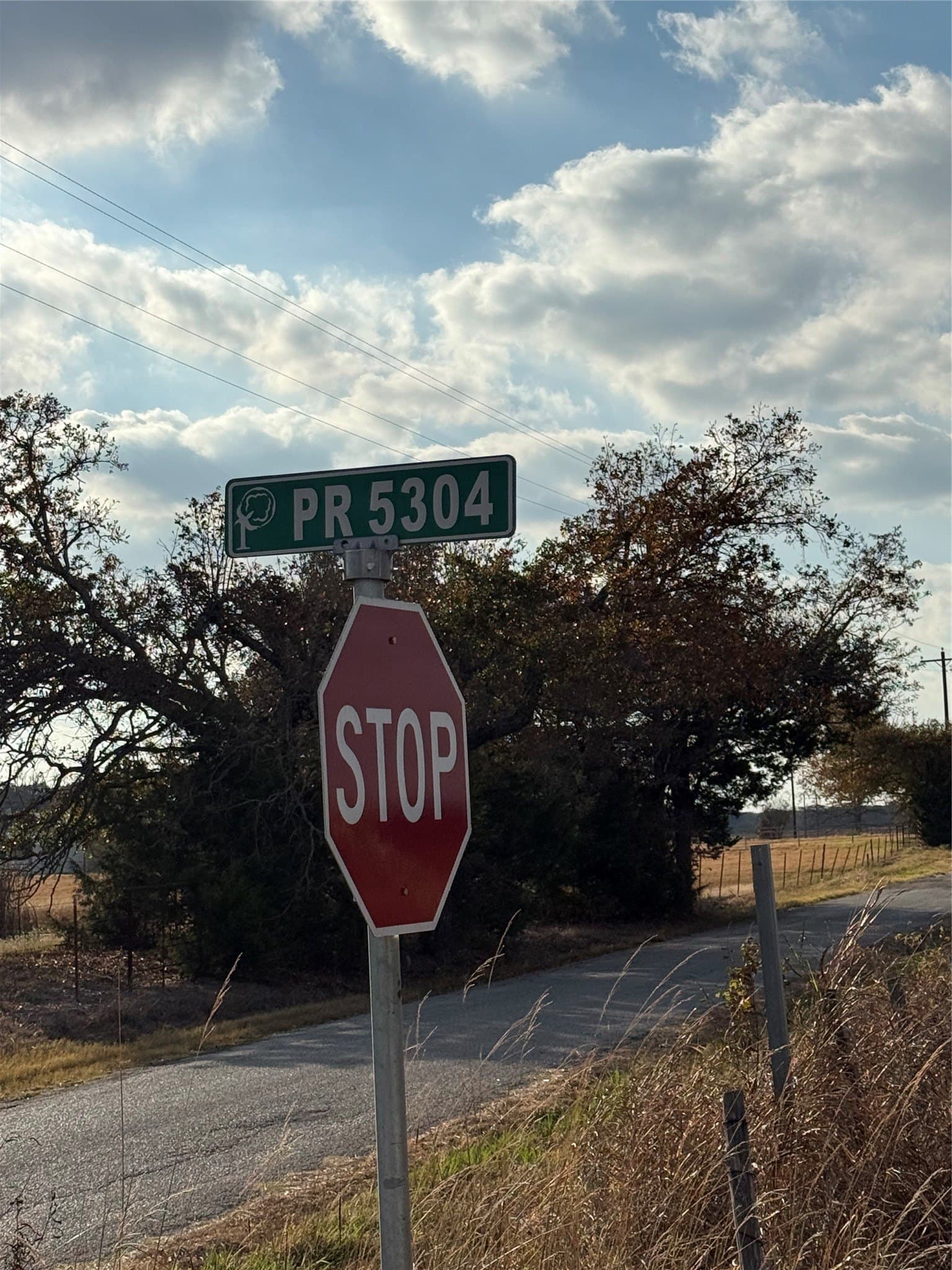 4.18 acres in Rains County - photo 7
