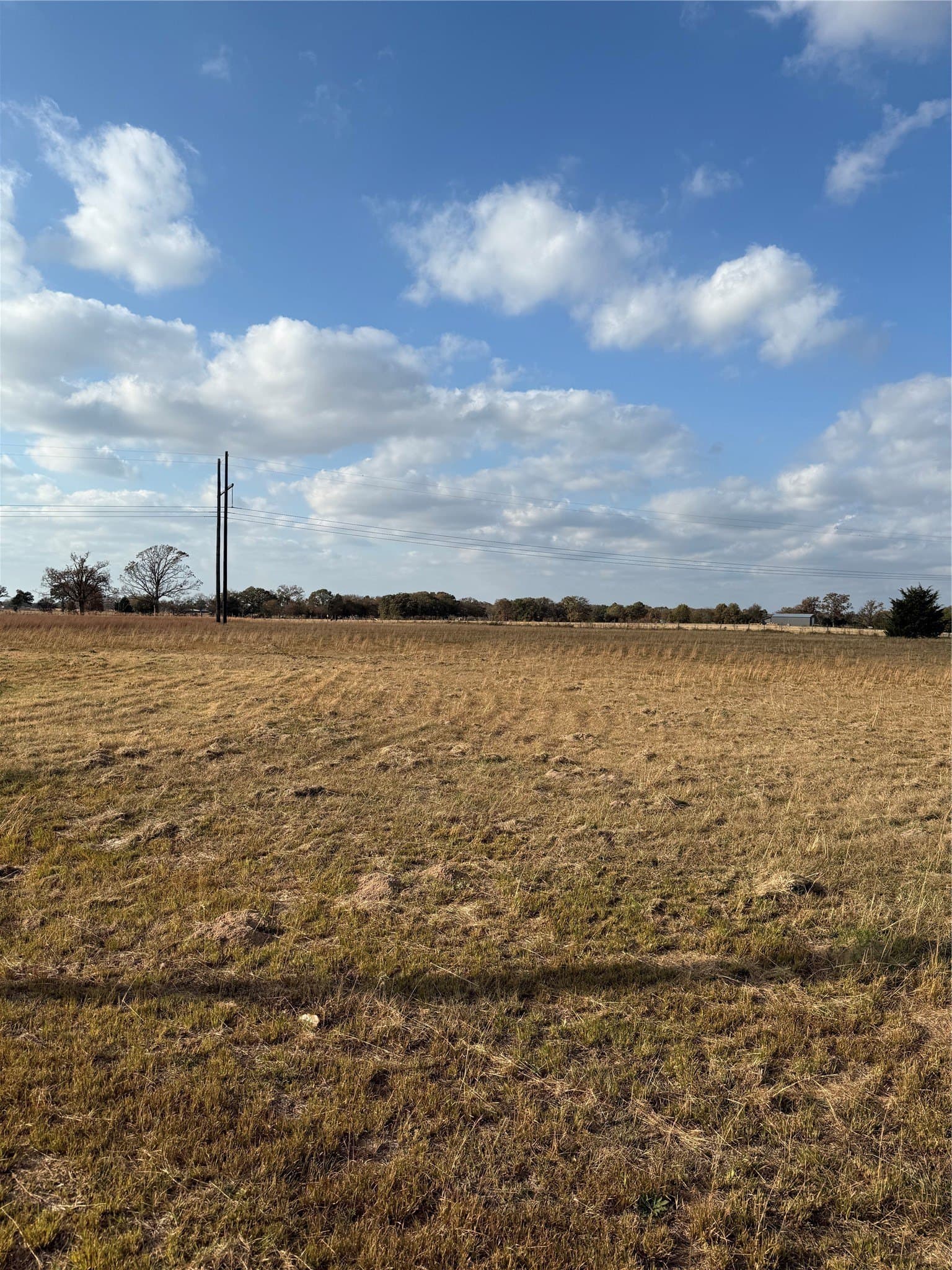 4.18 acres in Rains County - photo 12
