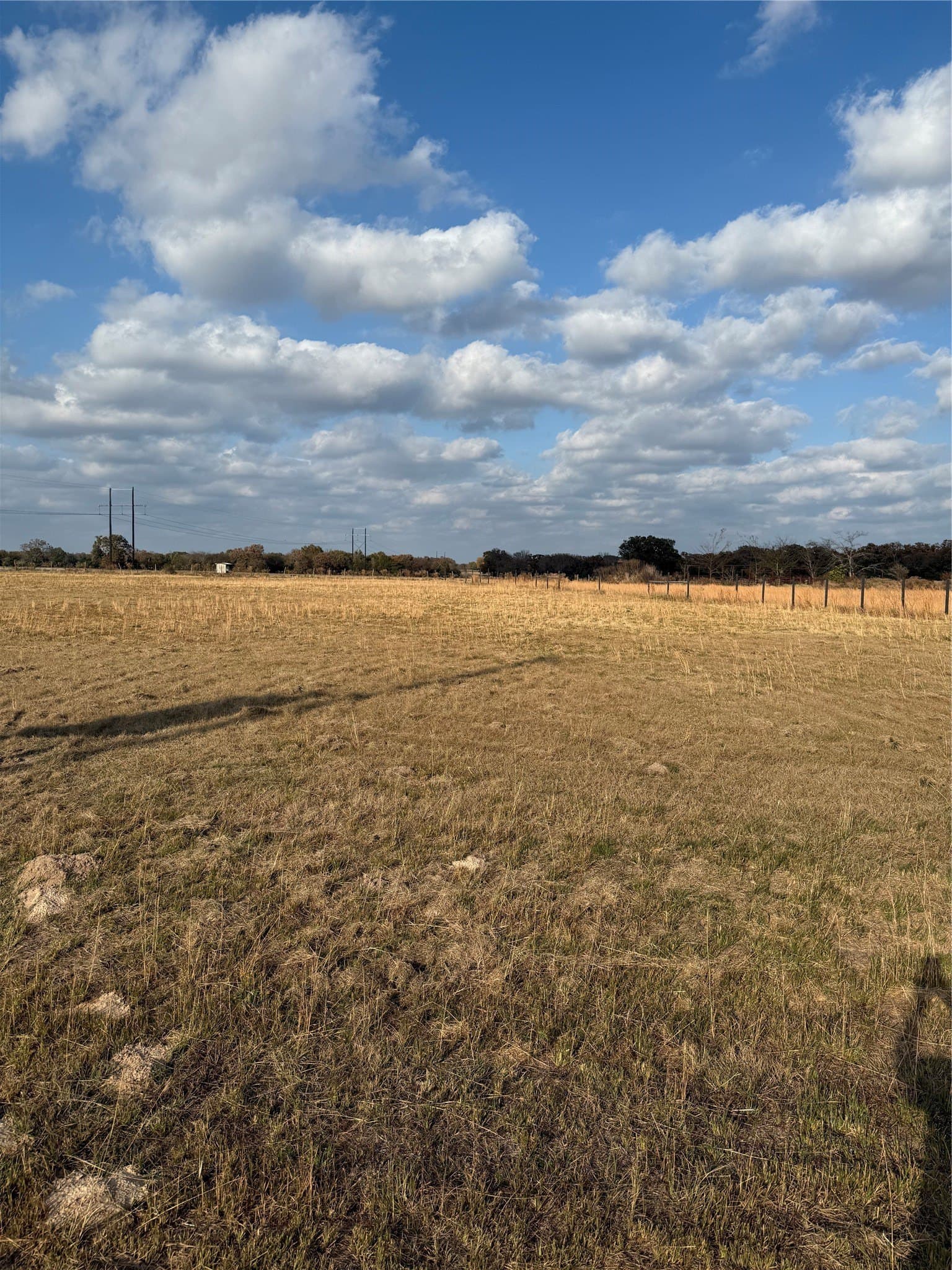 4.18 acres in Rains County - photo 11