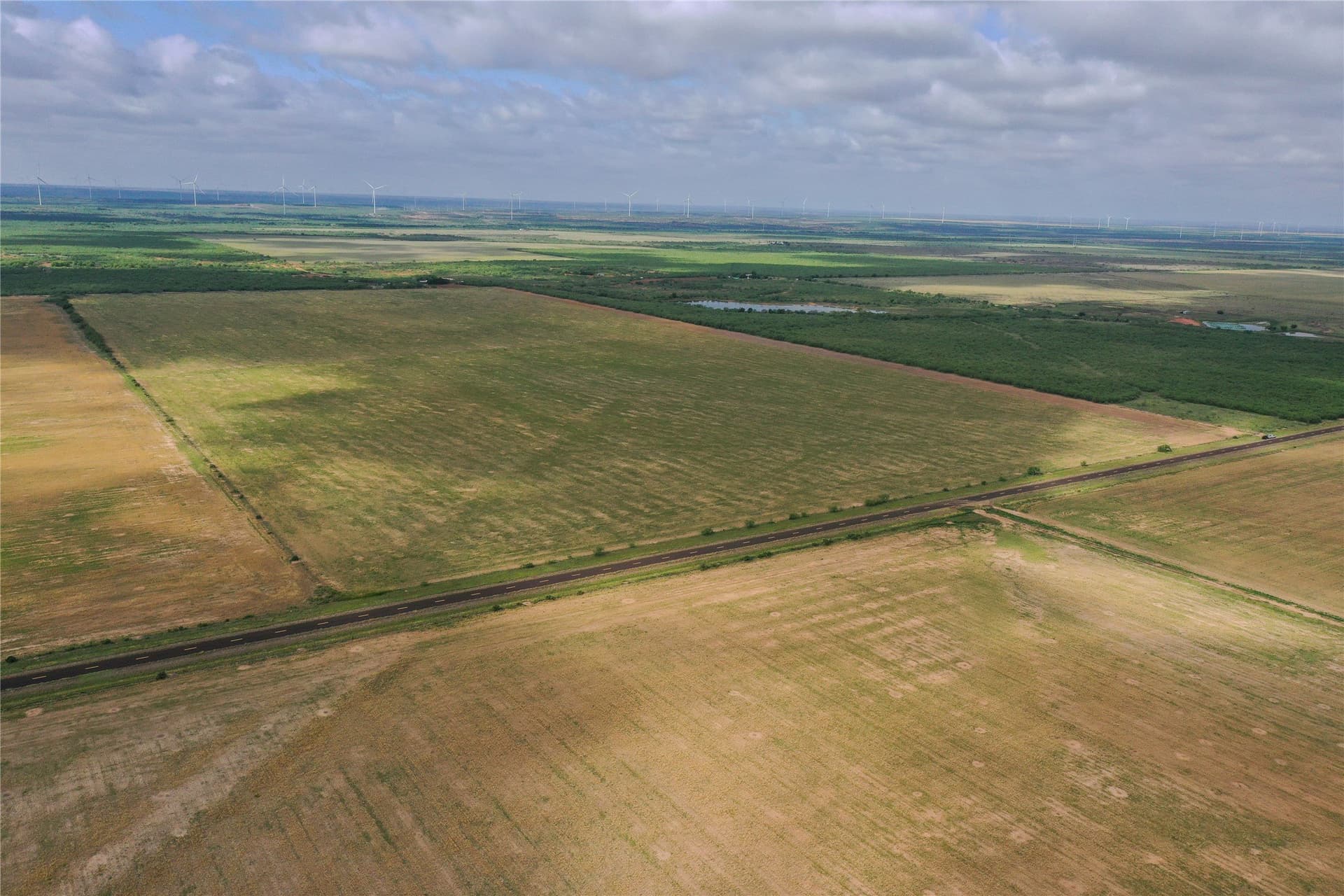 140 acres in Foard County - photo 11
