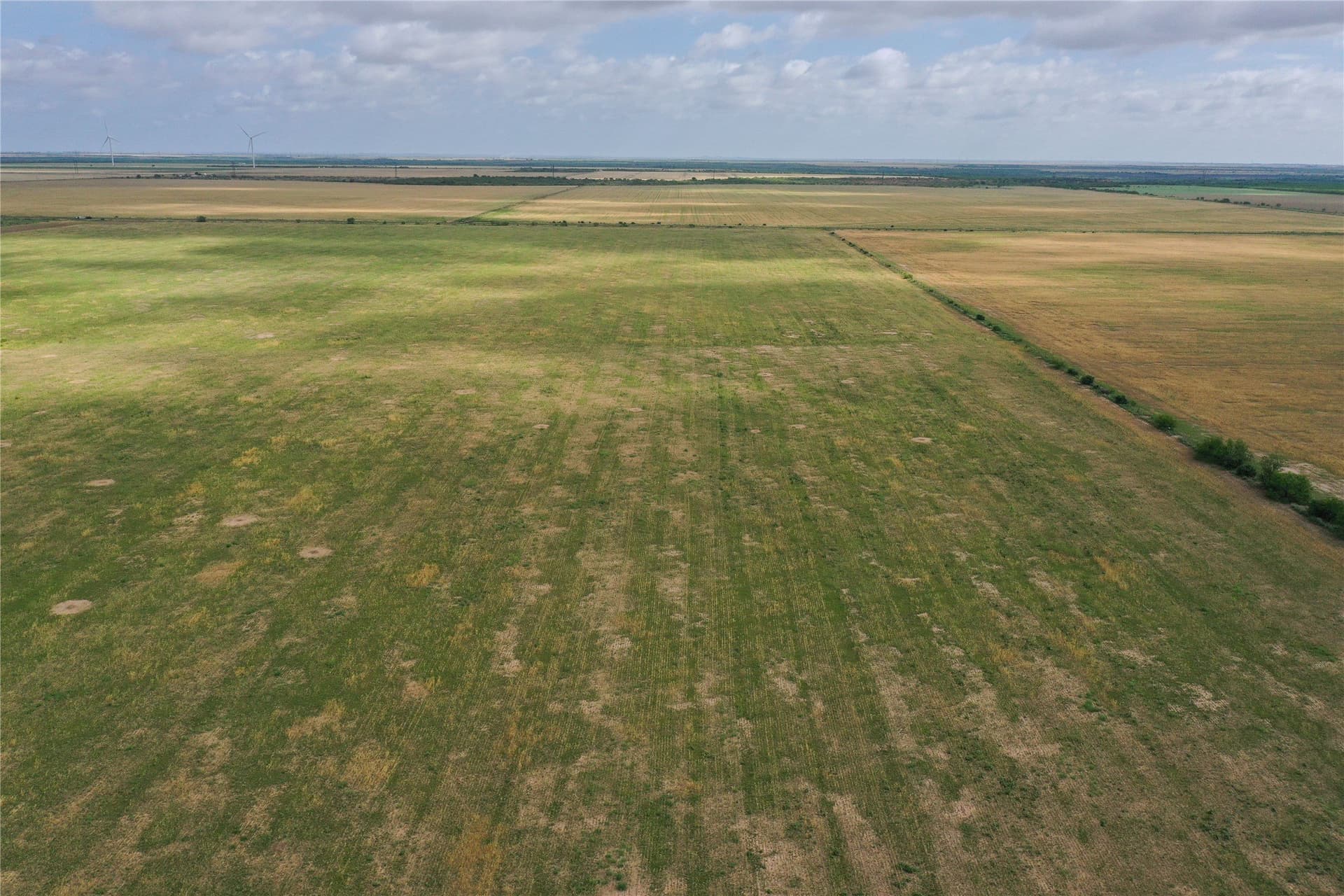 140 acres in Foard County - photo 5
