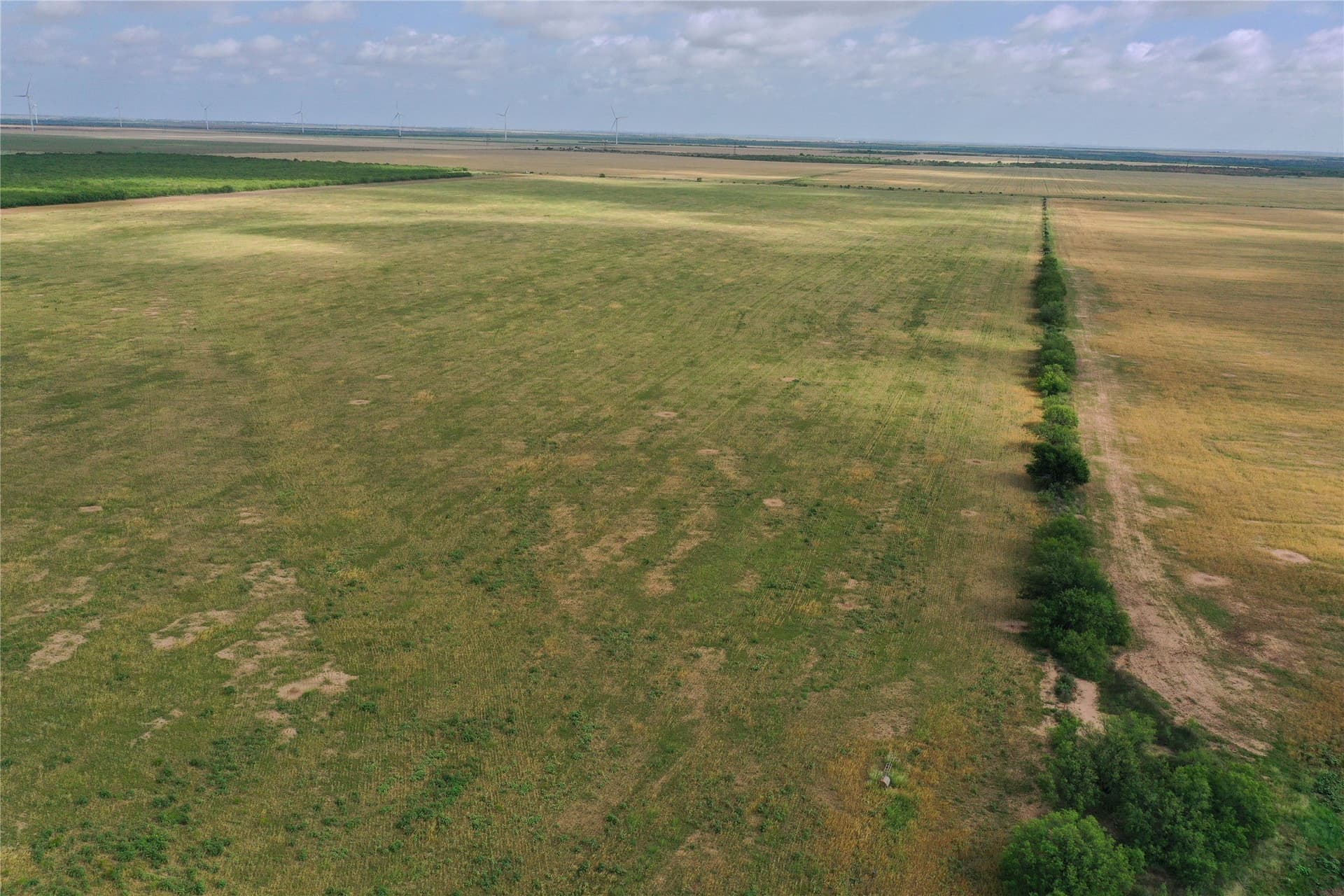 140 acres in Foard County - photo 6