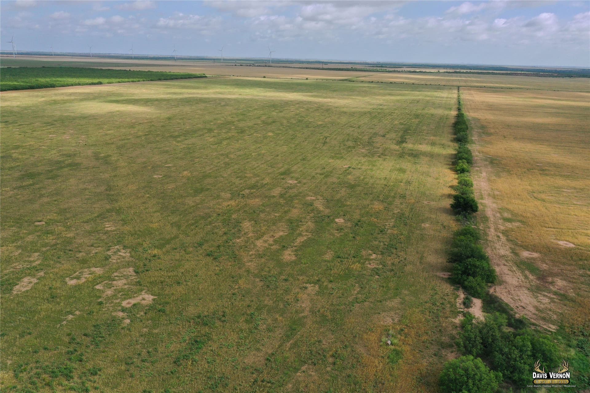 140 acres in Foard County - photo 24