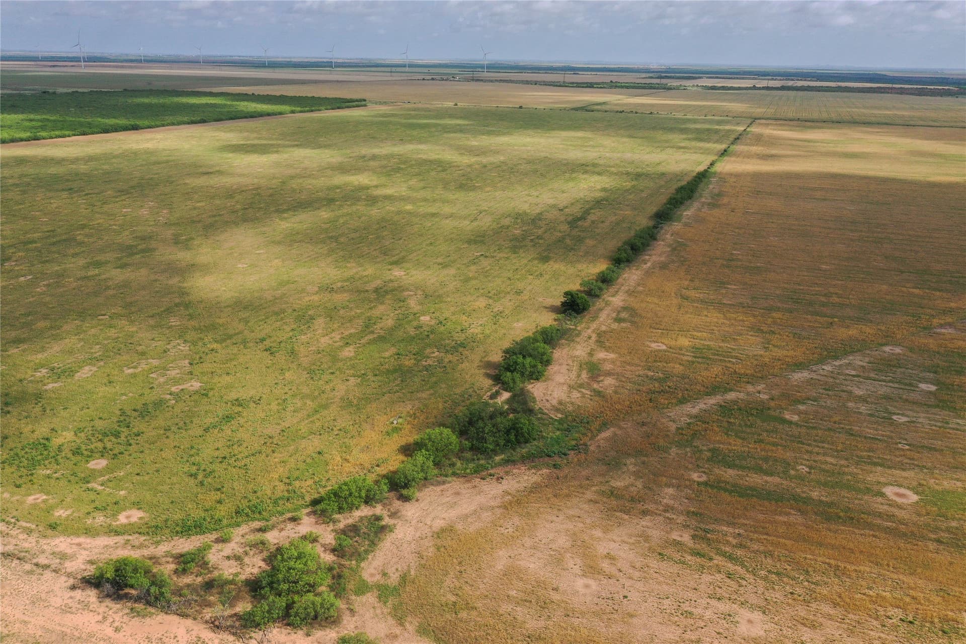 140 acres in Foard County - photo 8