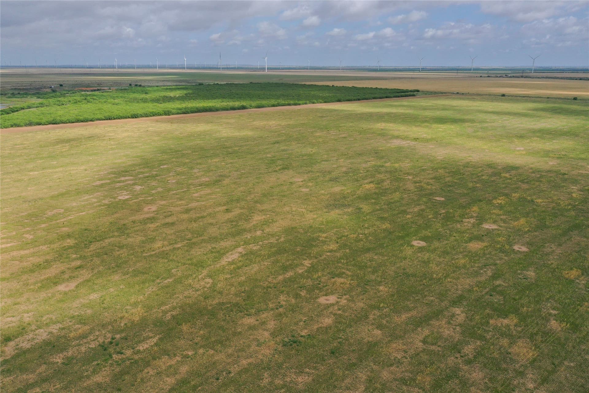 140 acres in Foard County - photo 4