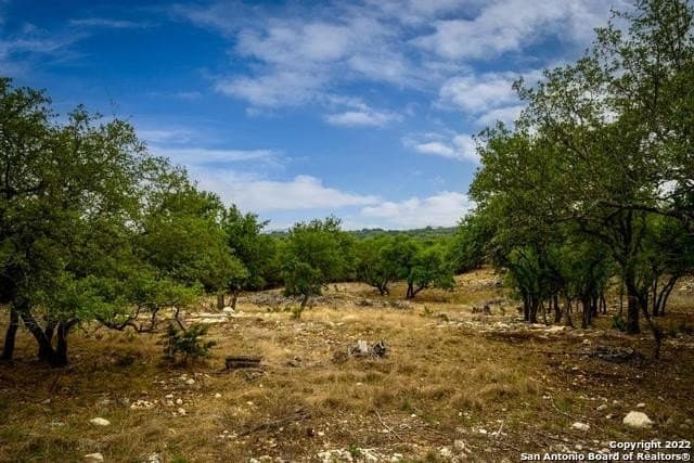 6.34 acres in Kendall County gallery image 3