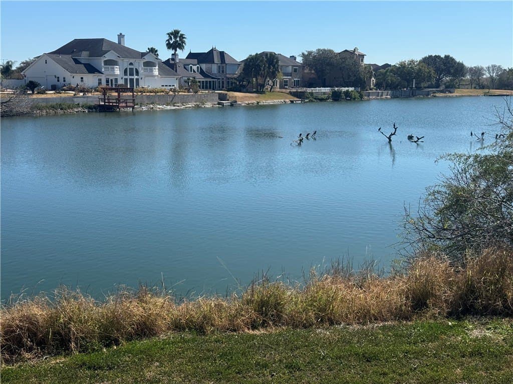 0.33 acres in Nueces County - photo 6