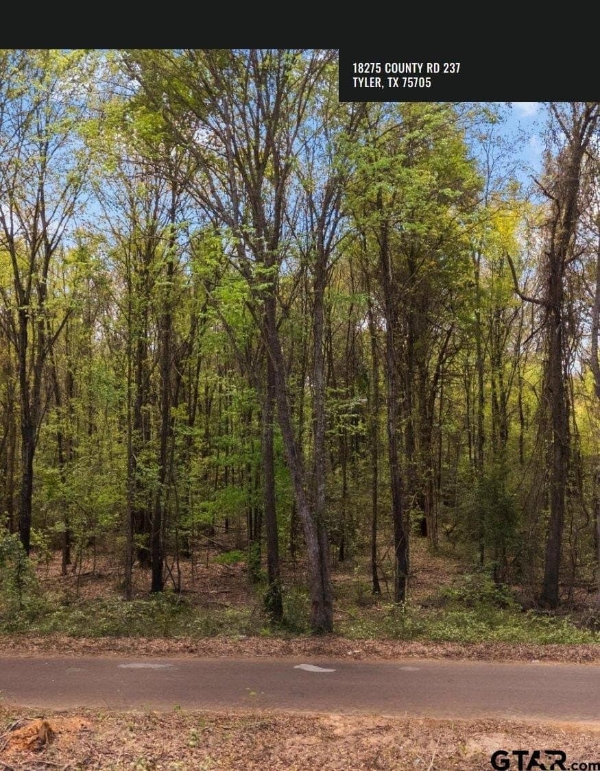 19.66 acres in Smith County gallery image 2