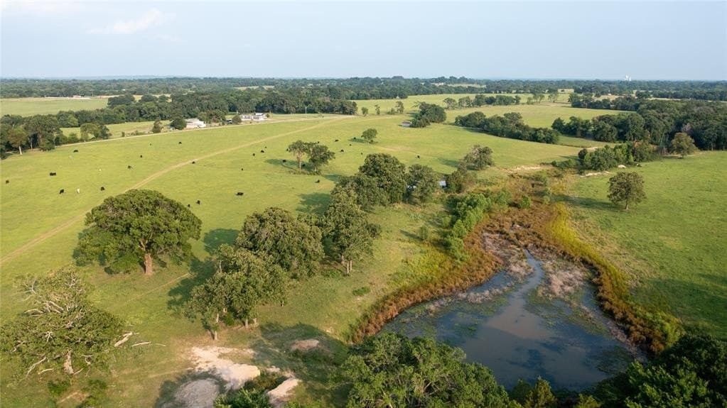 407 acres in Henderson County