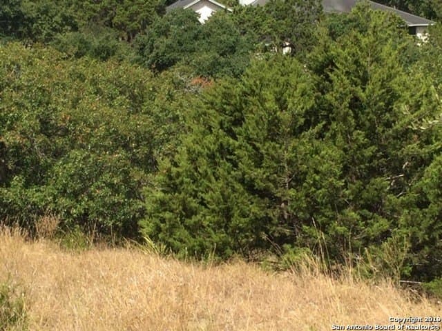 0.61 acres in Comal County - photo 11