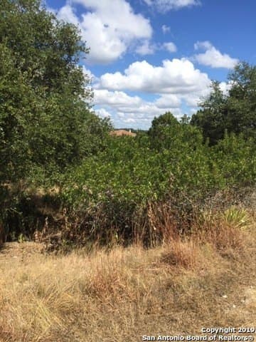 0.61 acres in Comal County gallery image 4