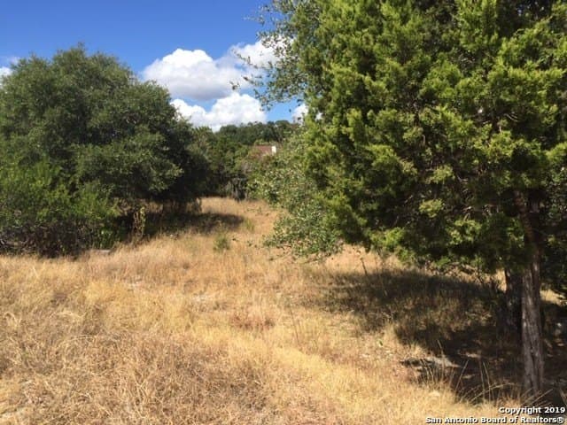 0.61 acres in Comal County - photo 14