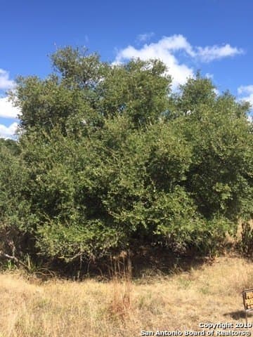 0.61 acres in Comal County featured view