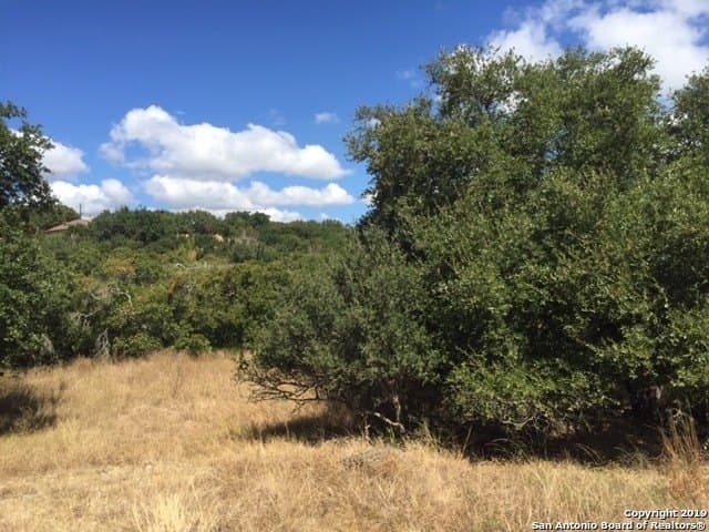 0.61 acres in Comal County - photo 13
