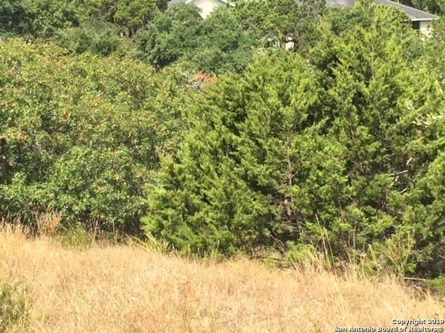 0.61 acres in Comal County - photo 10