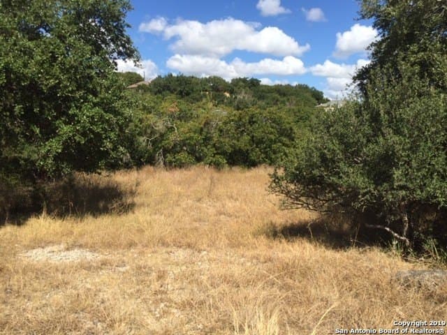 0.61 acres in Comal County - photo 9