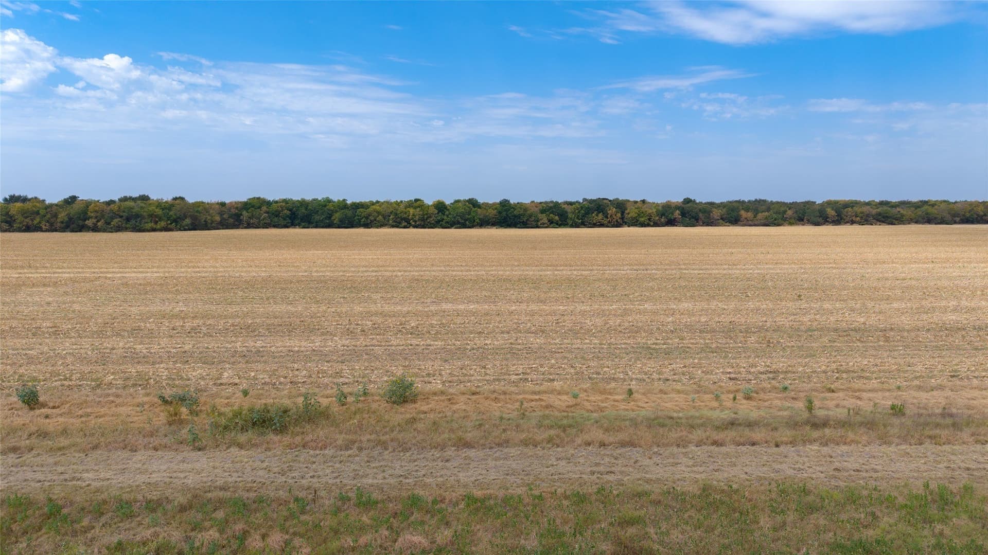 21 acres in Hunt County - photo 13