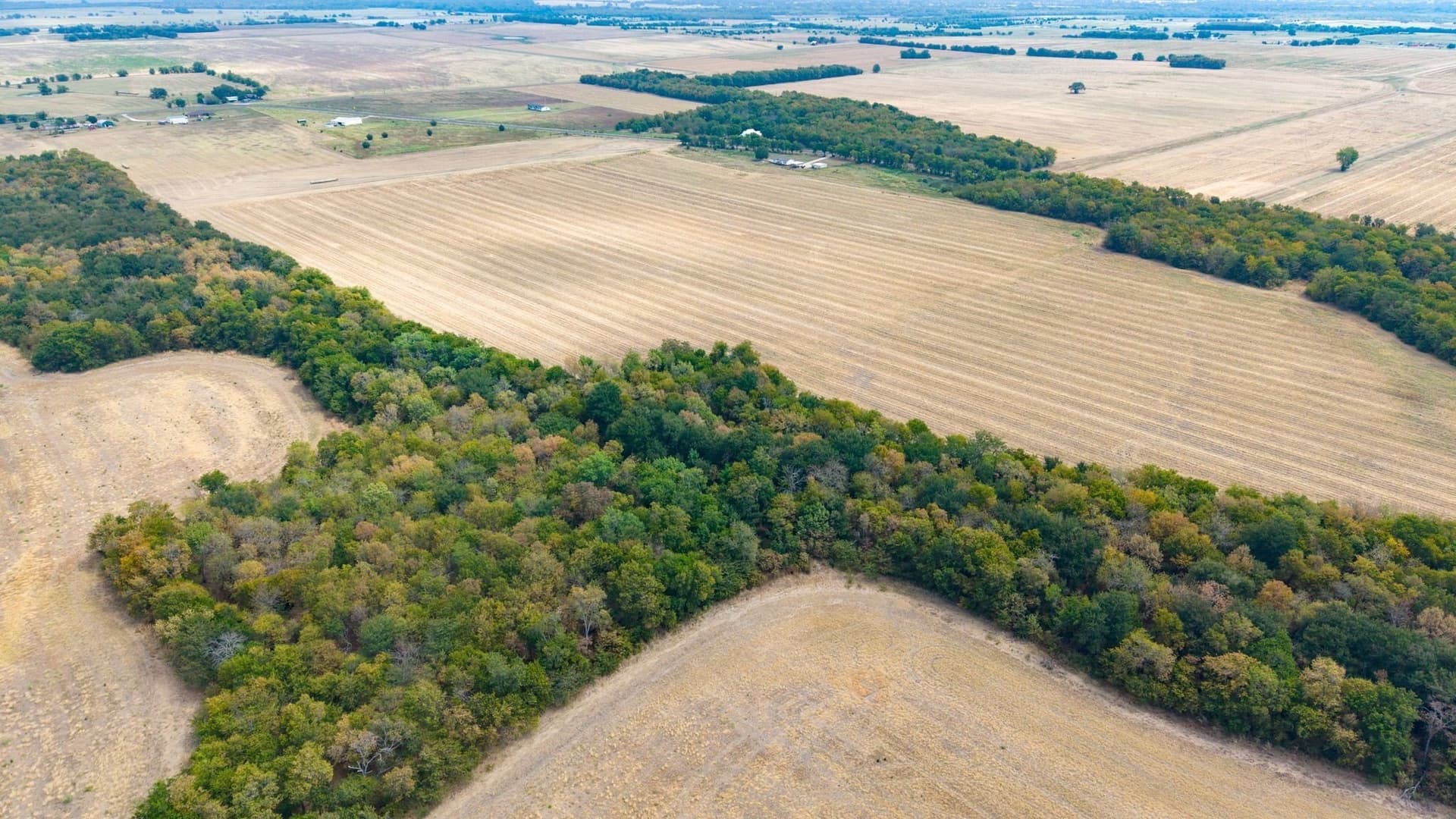 21 acres in Hunt County - photo 9