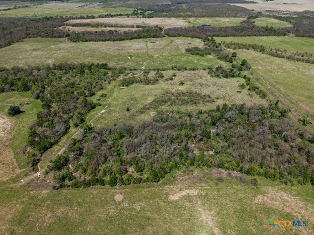 150 acres in Limestone County - photo 22