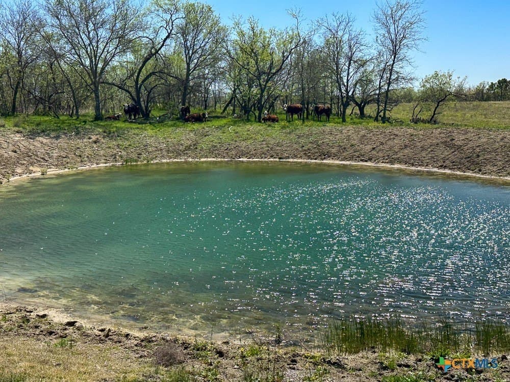 150 acres in Limestone County - photo 14