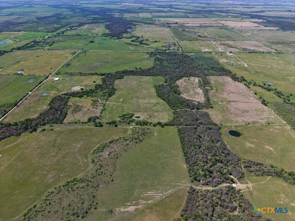150 acres in Limestone County - photo 23