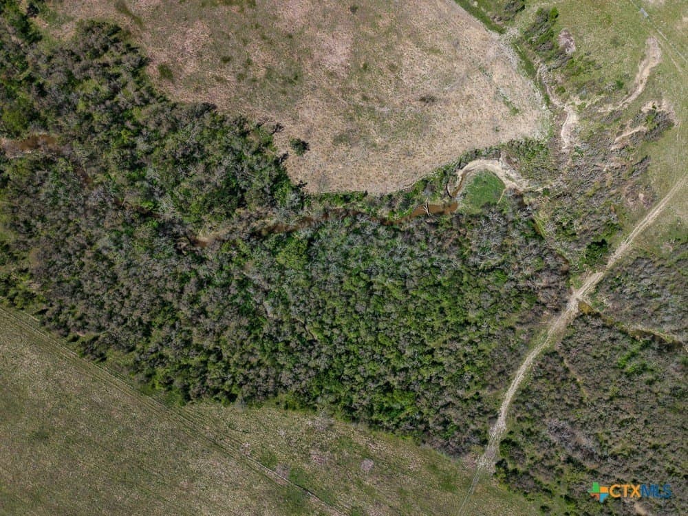 150 acres in Limestone County - photo 33
