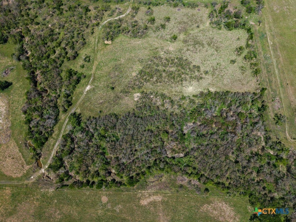 150 acres in Limestone County - photo 32