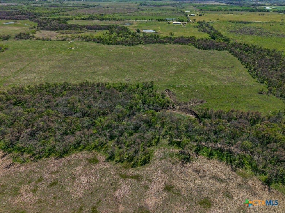 150 acres in Limestone County - photo 8