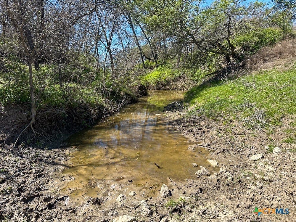 150 acres in Limestone County - photo 16