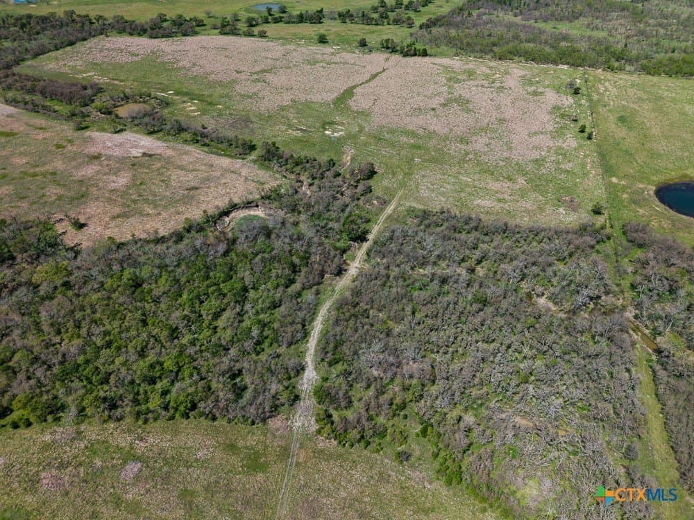 150 acres in Limestone County - photo 19