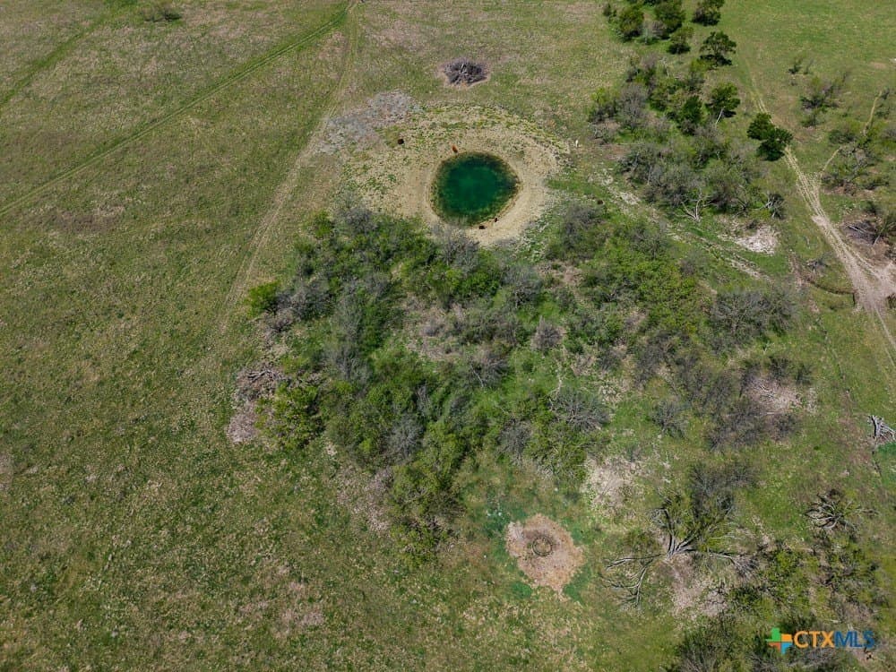 150 acres in Limestone County - photo 29