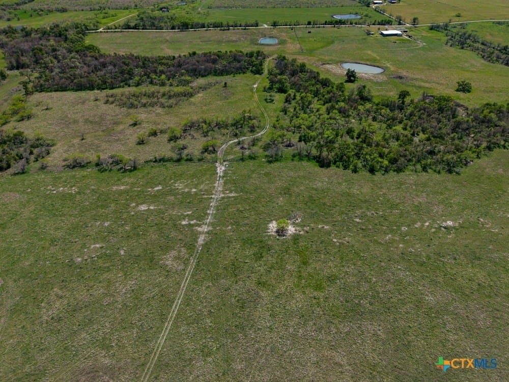 150 acres in Limestone County - photo 9