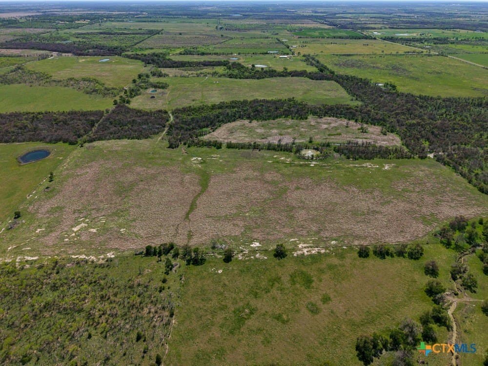 150 acres in Limestone County gallery image 4
