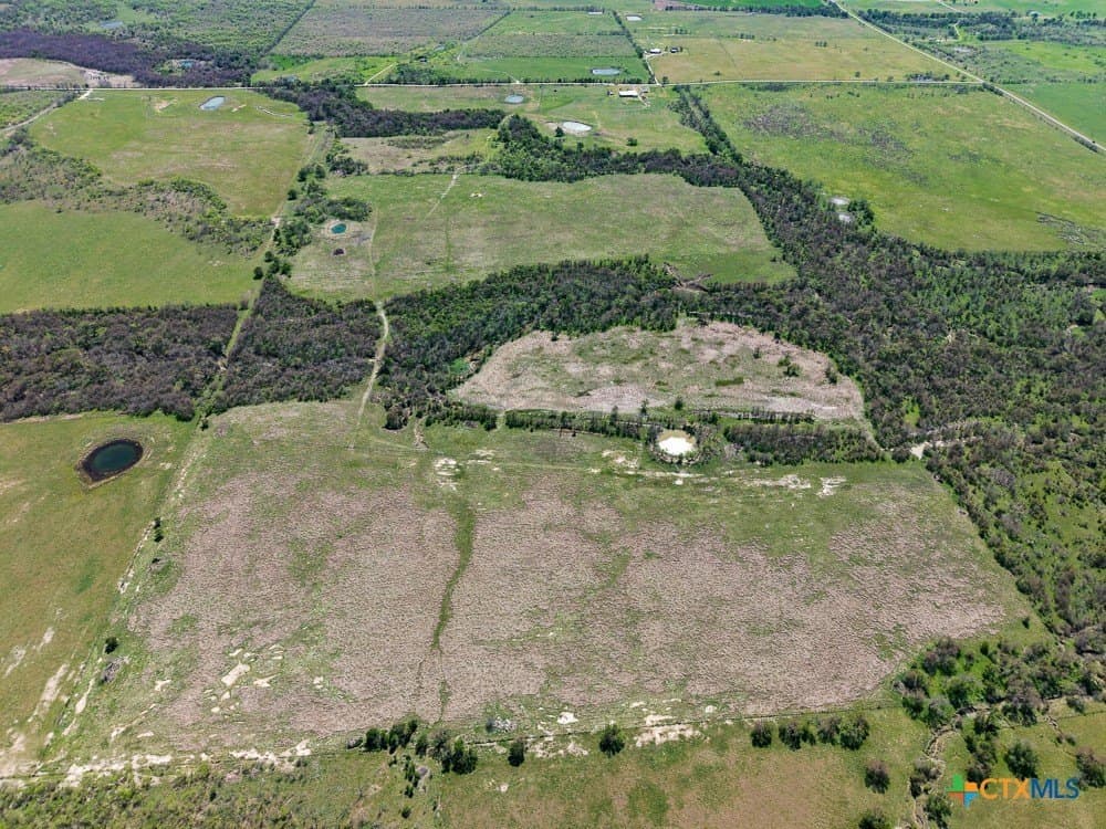150 acres in Limestone County - photo 21