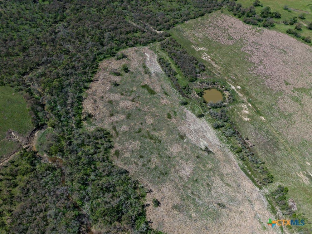 150 acres in Limestone County - photo 34