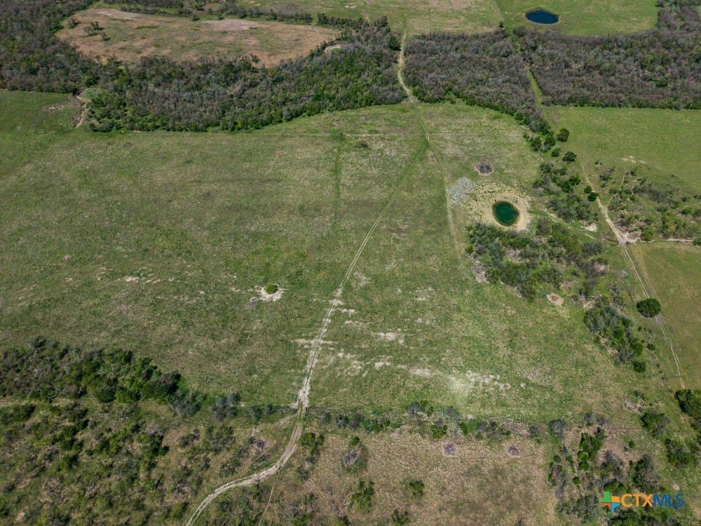 150 acres in Limestone County - photo 25