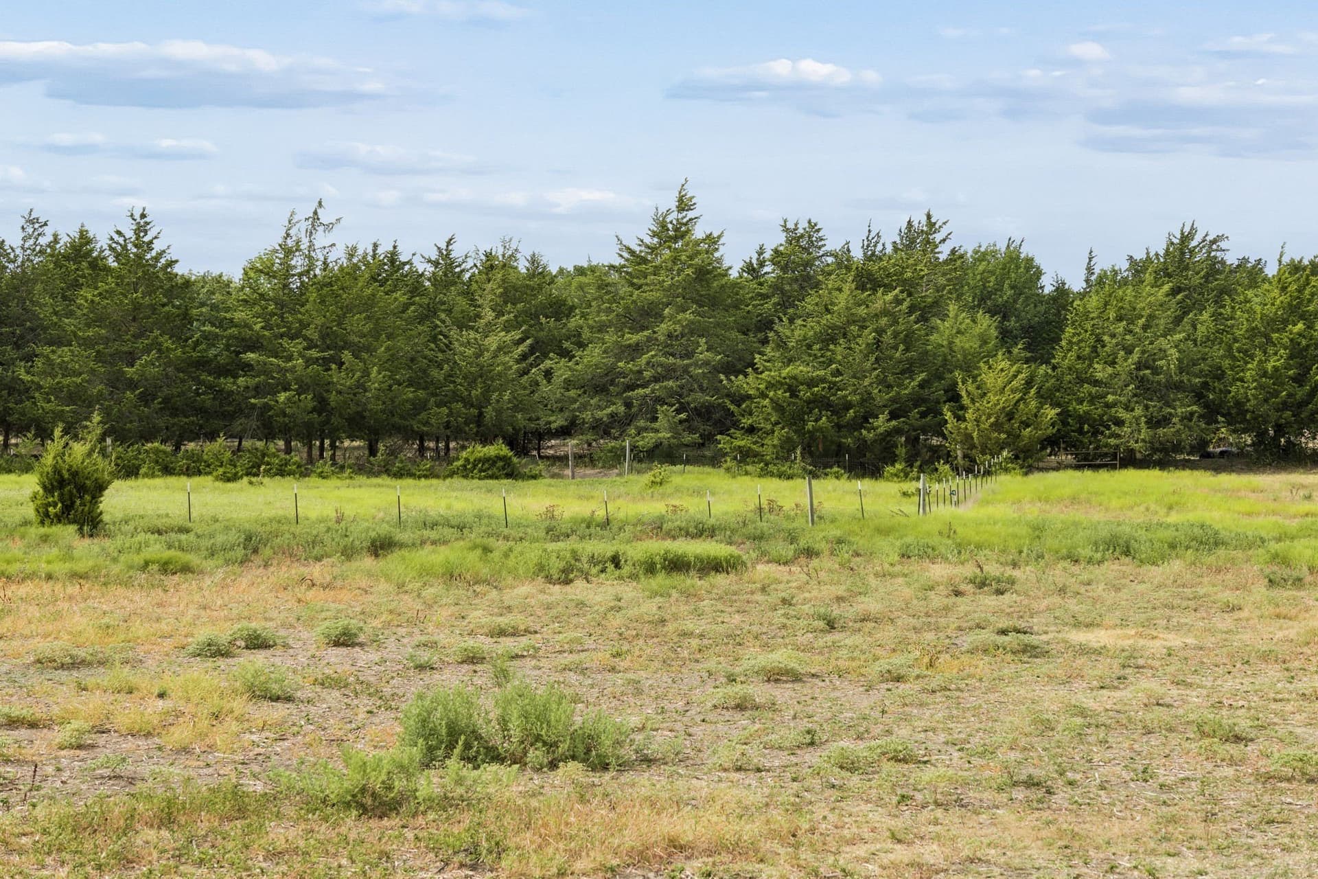 5.01 acres in Grayson County - photo 18