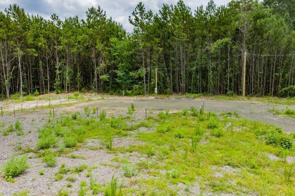 2.5 acres in Texas County gallery image 3