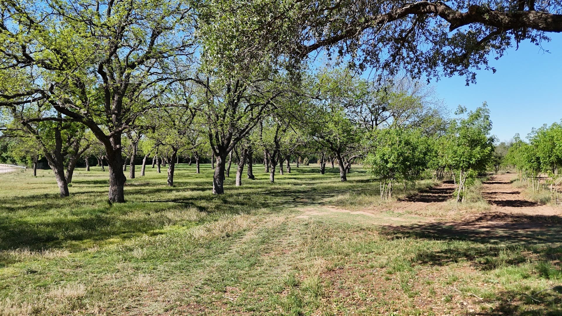 97.41 acres in Comanche County - photo 3