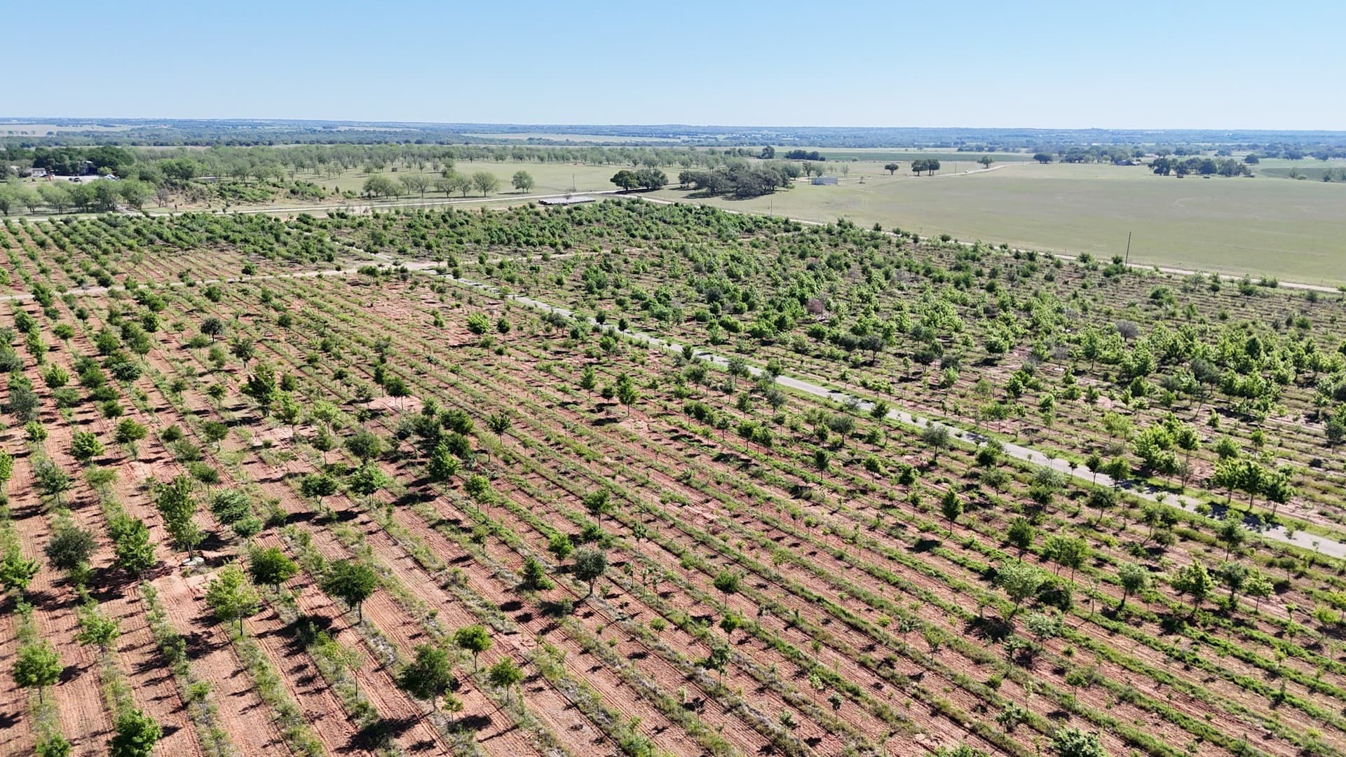 97.41 acres in Comanche County - photo 12