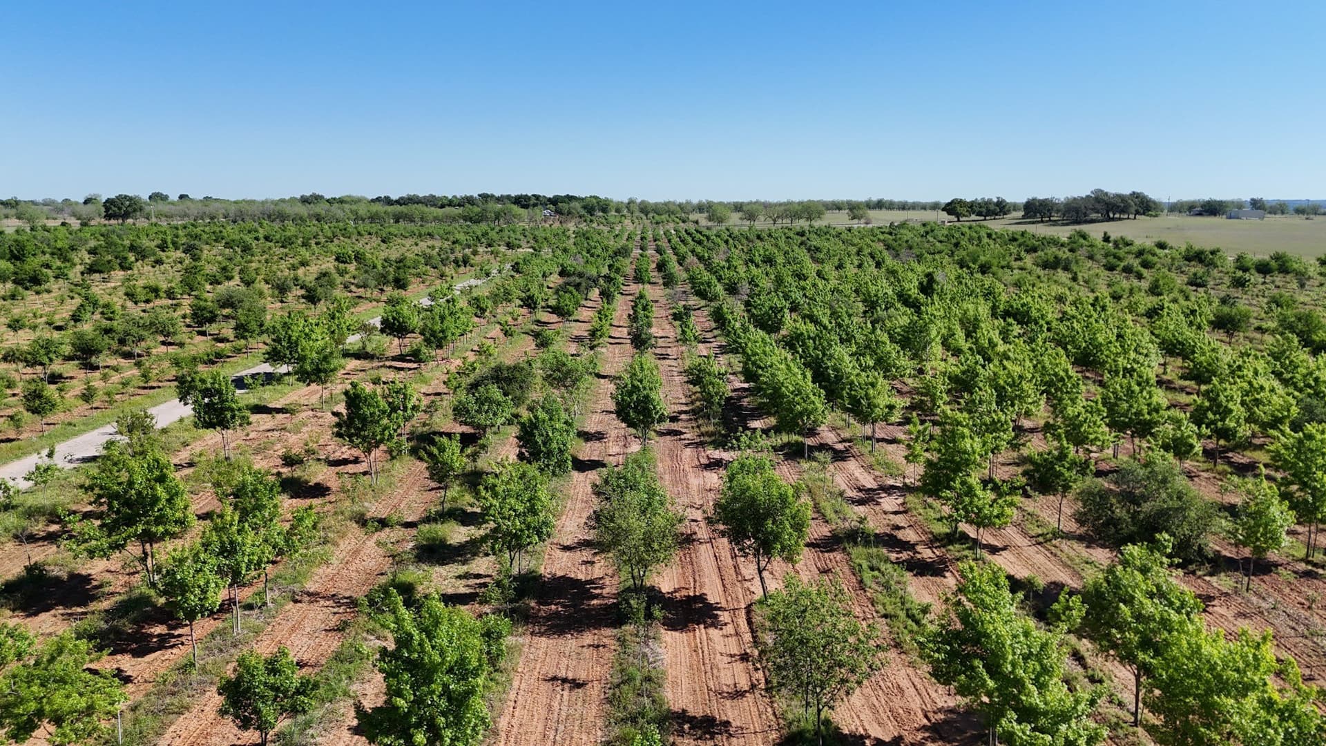 97.41 acres in Comanche County - photo 8