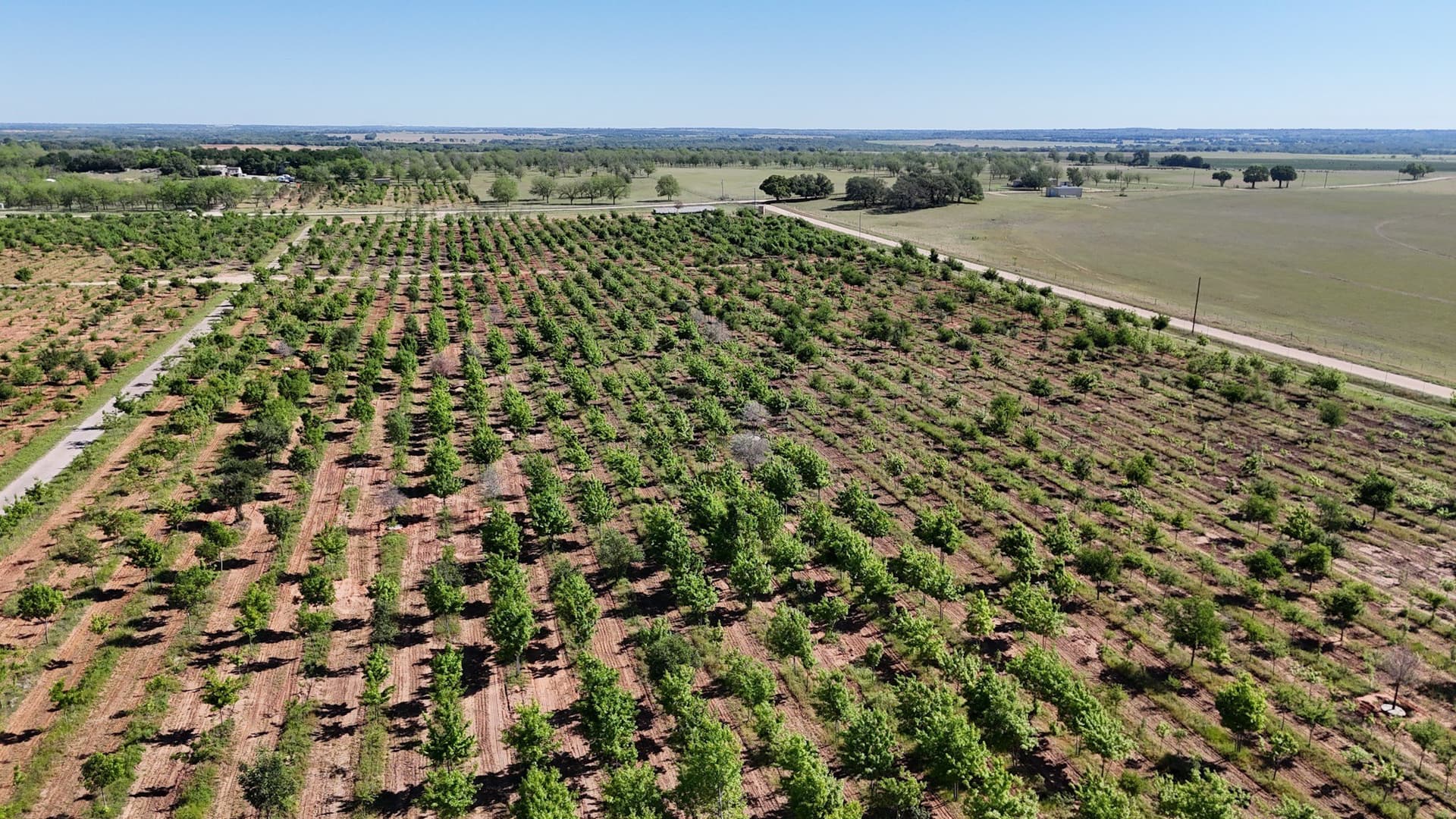 97.41 acres in Comanche County - photo 9