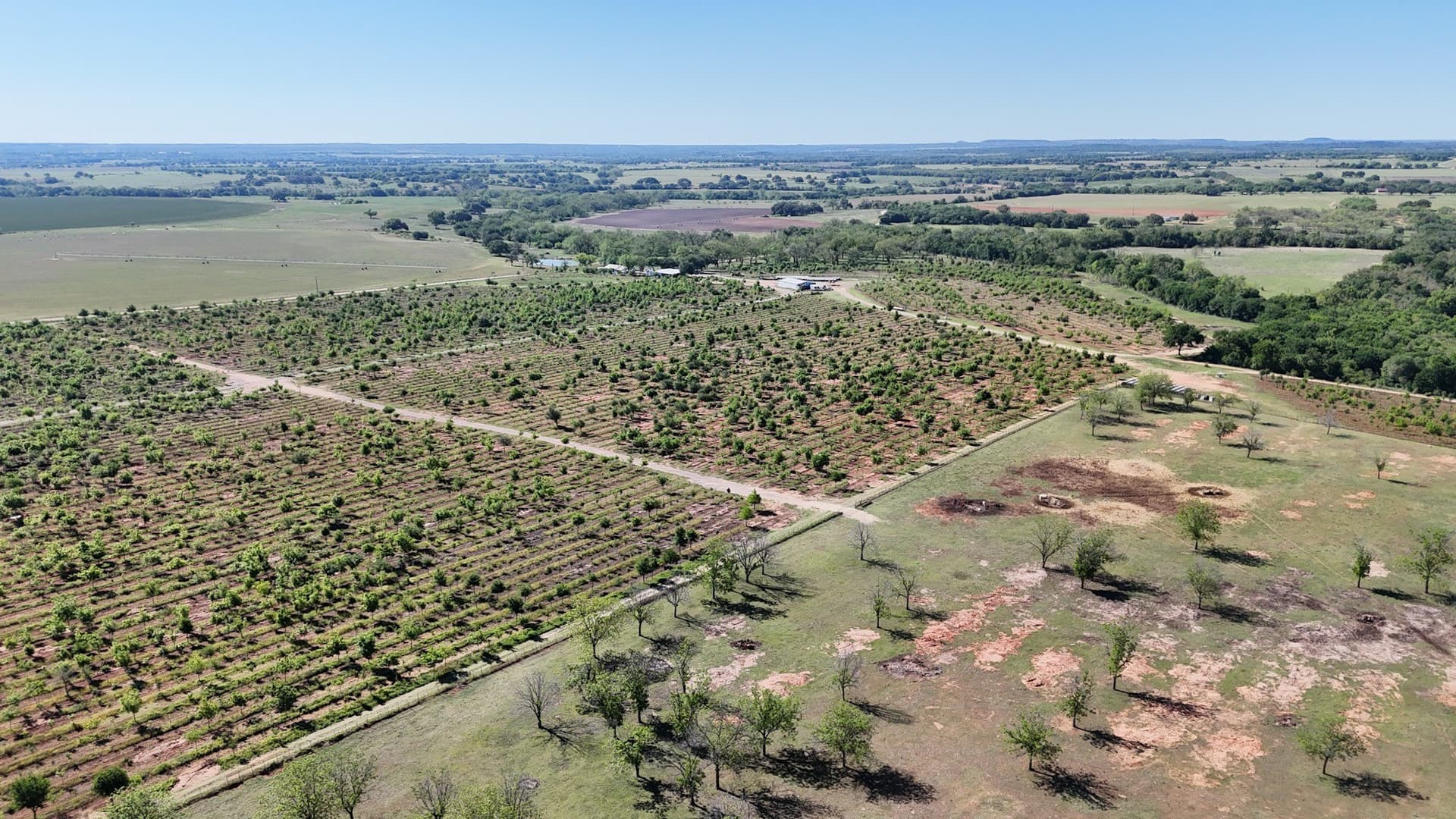 97.41 acres in Comanche County - photo 10