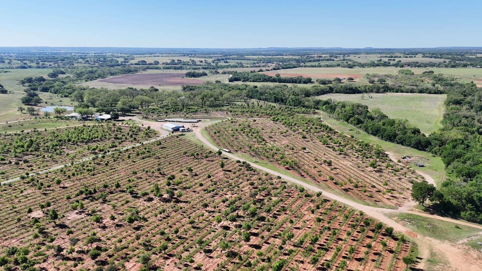 97.41 acres in Comanche County - photo 11