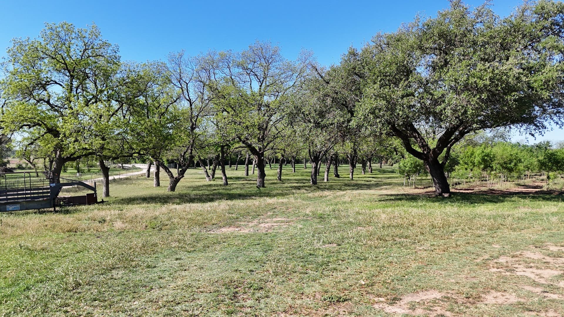 97.41 acres in Comanche County - photo 2