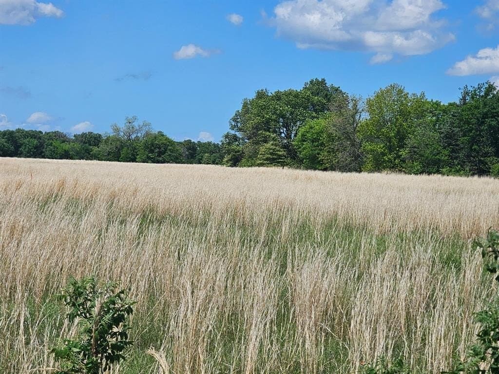10.8 acres in Van Zandt County gallery image 2