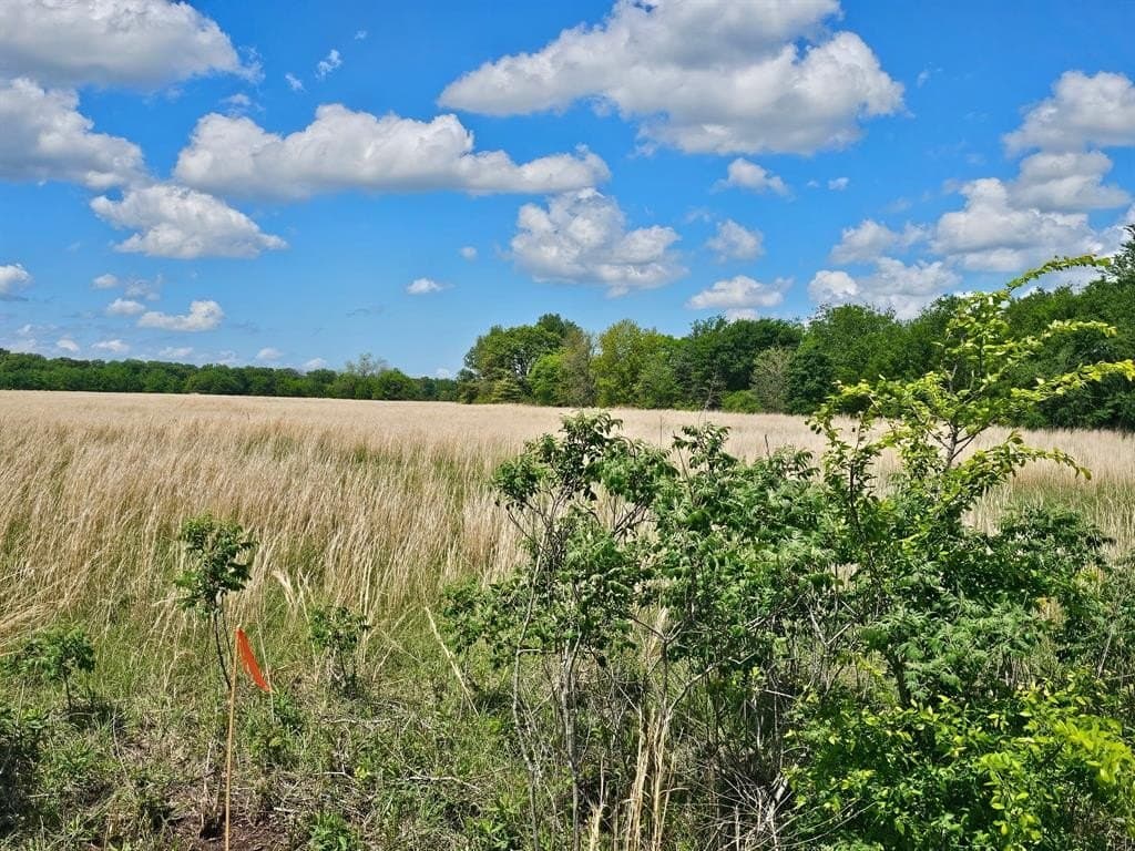 10.8 acres in Van Zandt County gallery image 3